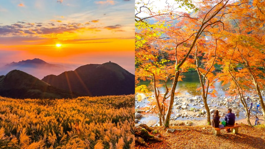 Núi Yangmingshan (Yangmingshan National Park) – Sắc cỏ lau và suối nước nóng