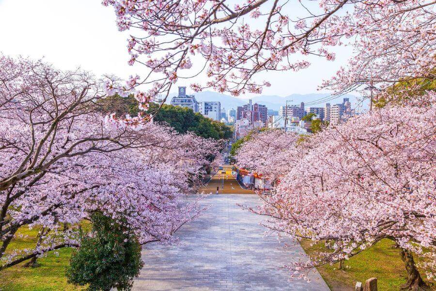 Vườn Kokyo Higashi Gyoen là một địa điểm lý tưởng để ngắm hoa anh đào