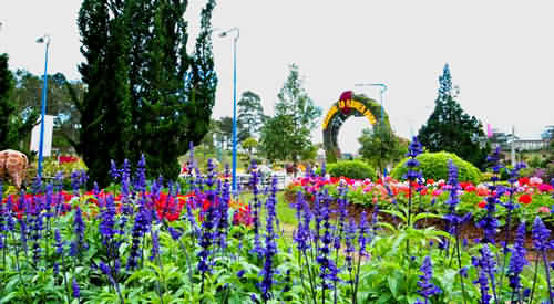 Tour du lịch Đà Lạt - Xuân về trên cao nguyên