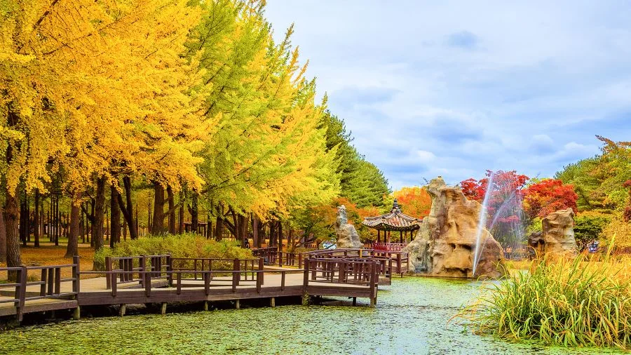 Đảo Nami - Ăn gì, chơi gì vào mùa thu?