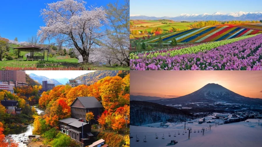 Thời tiết Hokkaido như thế nào? Gợi ý trang phục du lịch phù hợp