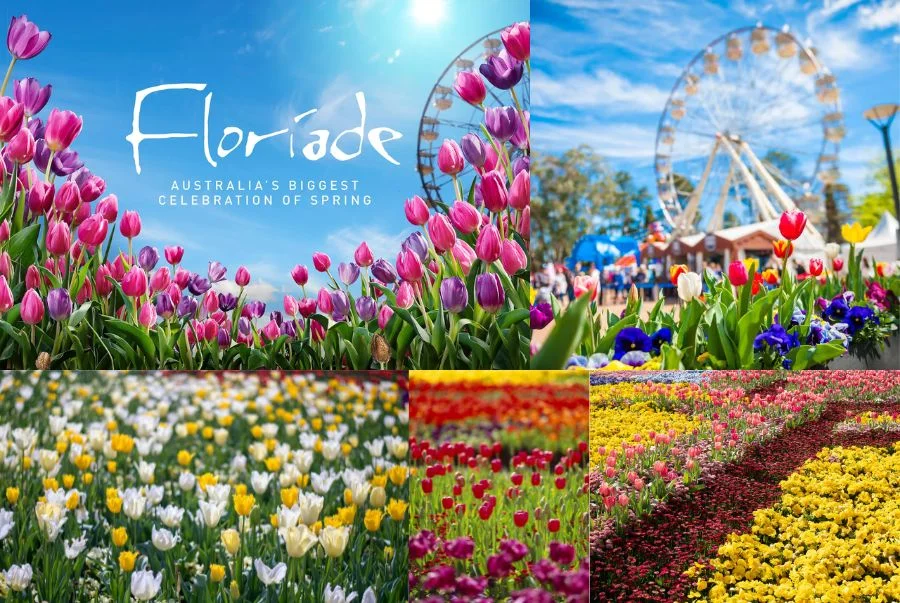 Lễ hội hoa Floriade Canberra - Thiên đường mùa xuân nước Úc