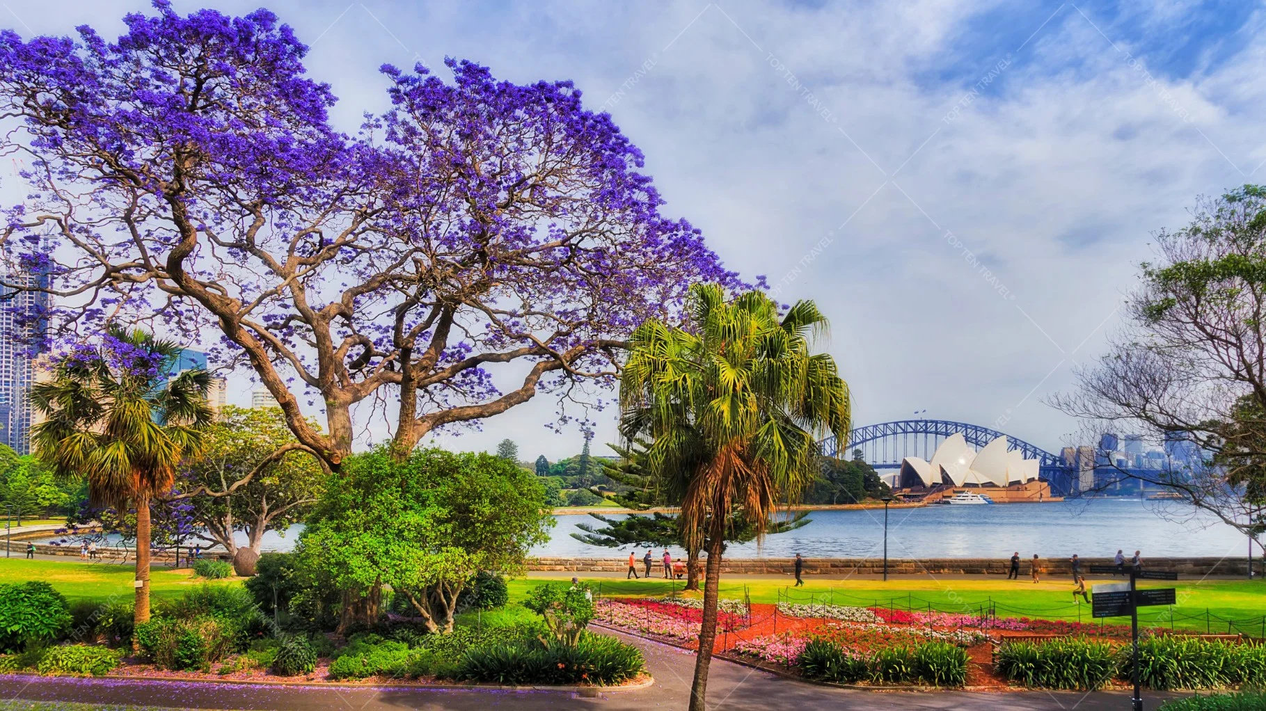Những hoạt động hấp dẫn tại Royal Botanic Gardens vào mùa xuân