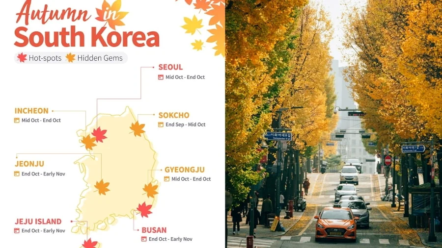 Lịch lá vàng Hàn Quốc 2025: Những thời điểm vàng mà bạn cần biết