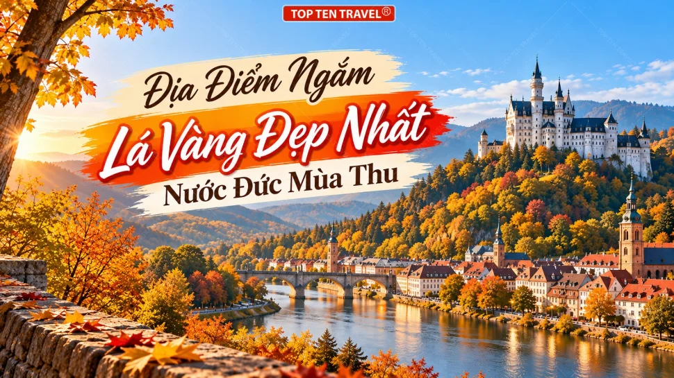 16+ địa điểm ngắm lá vàng đẹp nhất tại Đức vào mùa thu