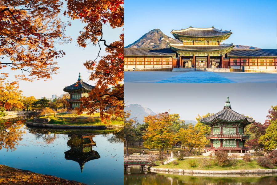 Du lịch Seoul mùa thu - Hành trình chạm đến vẻ đẹp lãng mạn