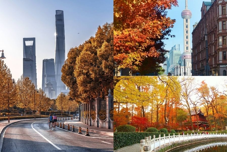 Những điều cần biết khi đi du lịch Thượng Hải mùa thu