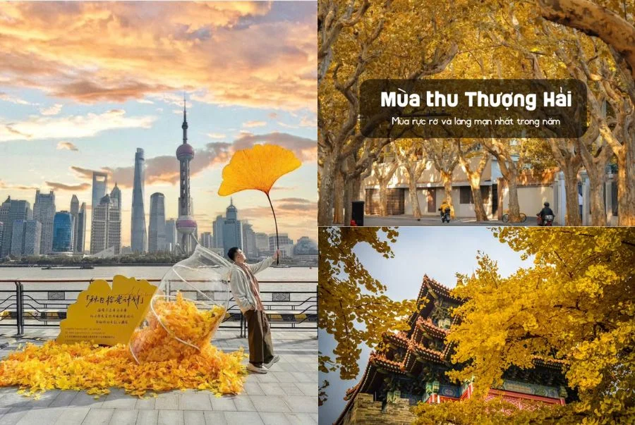 Đặc điểm thời tiết Thượng Hải mùa thu
