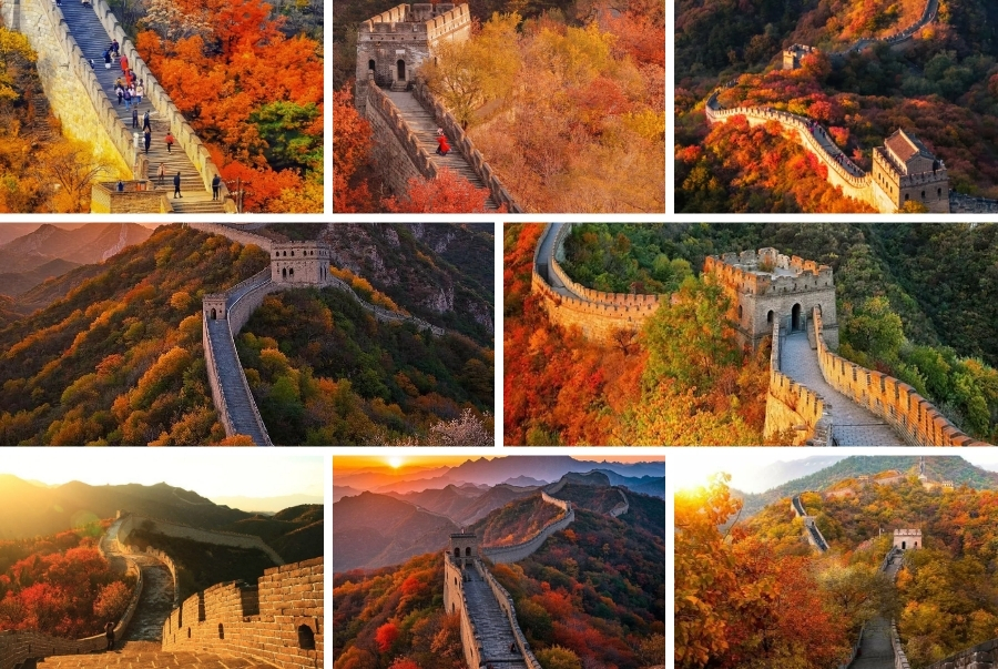 Đắm chìm trong sắc vàng Vạn Lý Trường Thành vào mùa thu
