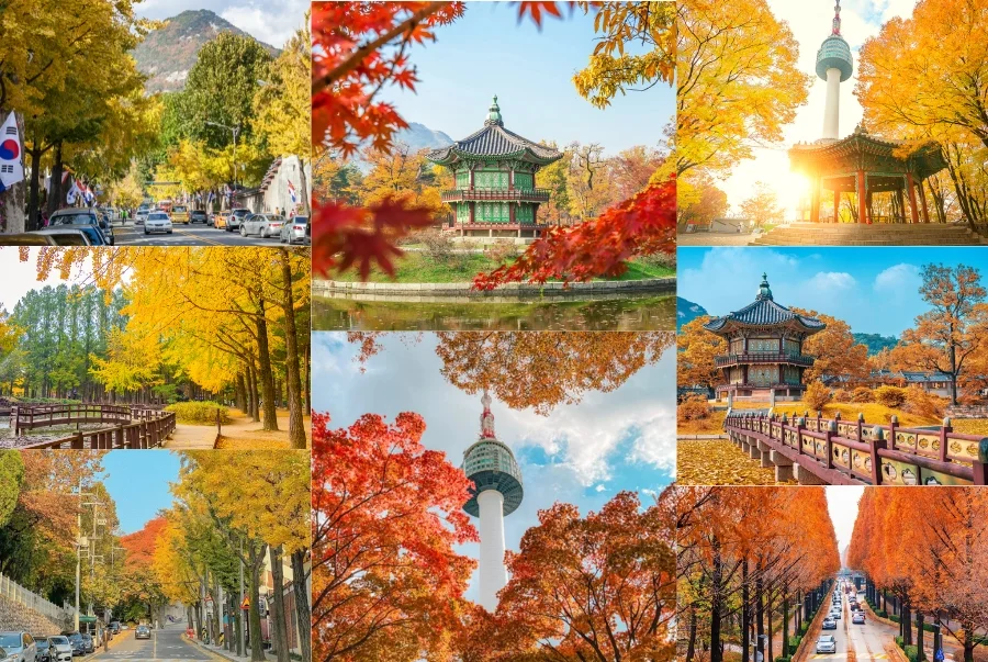Mùa thu Hàn Quốc tháng mấy? Khám phá vẻ đẹp lãng mạn giữa lòng xứ sở kim chi
