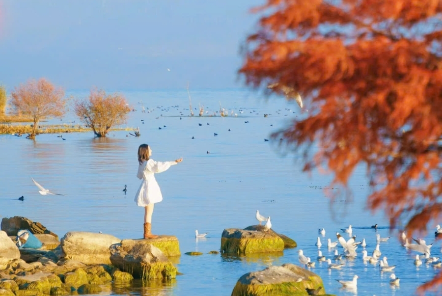 Tour Trung Quốc Mùa Thu 2025 Côn Minh - Đại Lý - Lệ Giang - Shangrila Giá Tốt