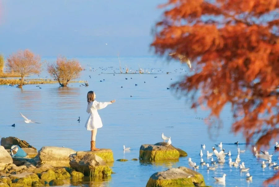 Tour Trung Quốc Mùa Thu 2025 Côn Minh - Đại Lý - Lệ Giang - Shangrila Giá Tốt