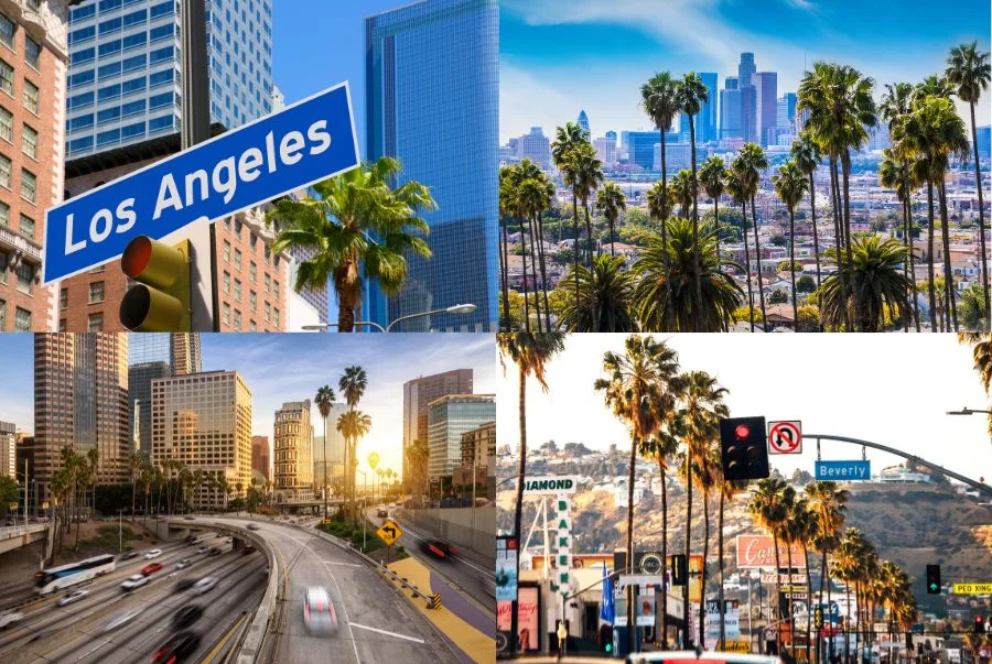 Hành trình trốn lạnh mùa đông tại thiên đường bờ tây Los Angeles