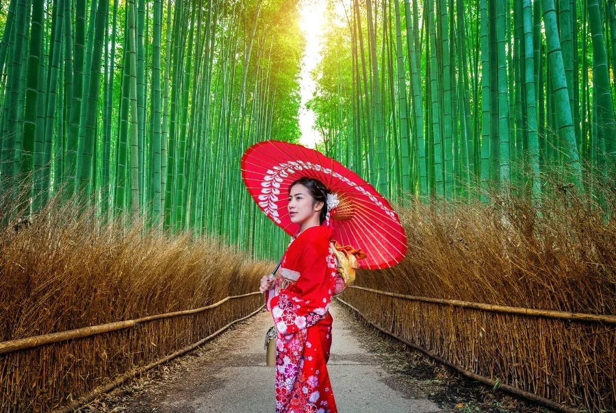 Dạo bước giữa rừng tre Arashiyama Kyoto