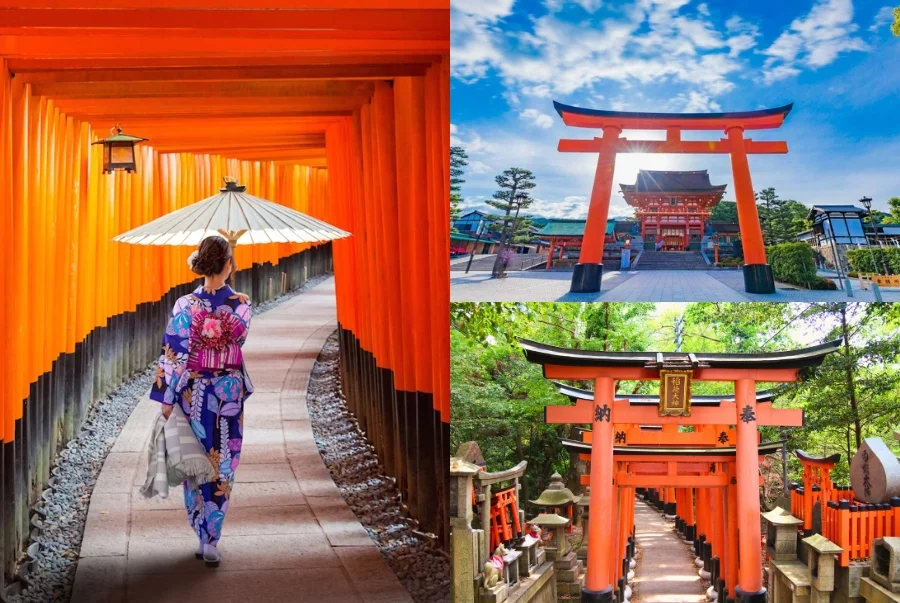 Khám phá đền Fushimi Inari và bí mật phía sau hàng nghìn cổng torii