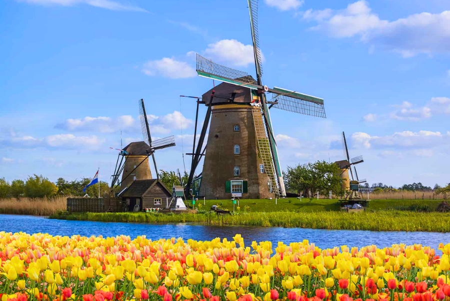 Nên du lịch Hà Lan tự túc hay theo tour?