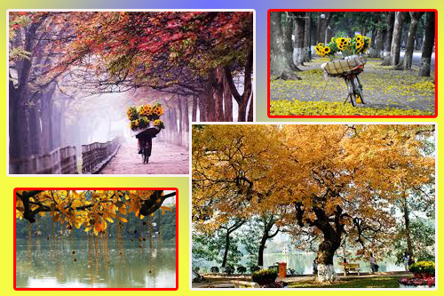 Top Ten Travel - Ưu đãi đặc biệt dành cho chùm tour nội địa