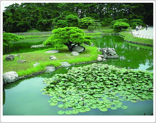 Vườn văn hóa Nhật Bản trong lòng TP. Hồ Chí Minh