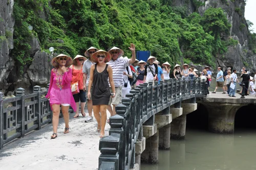 Ngành du lịch tìm hướng khi thị trường sụt giảm
