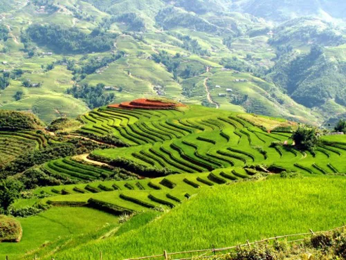 Việt Nam lọt top 20 quốc gia đẹp nhất thế giới