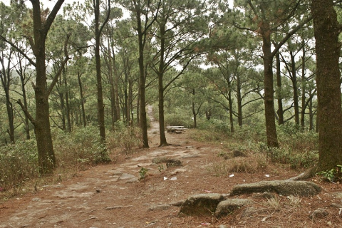 Côn Sơn- Kiếp Bạc: Lễ hội về nguồn