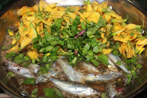 Mùa cá linh non- Đặc sản Đồng Tháp