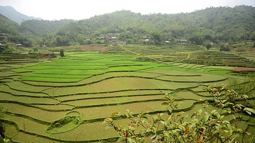 Một Sapa ở Hòa Bình đang được khám phá