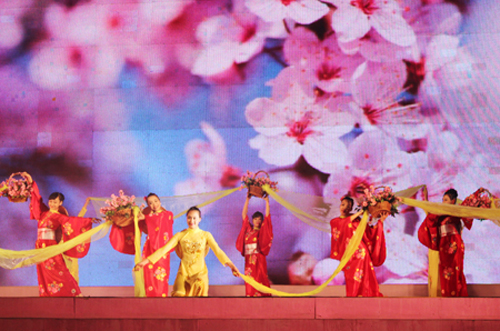 Lễ hội hoa Anh đào được tổ chức thường niên tại Hạ Long