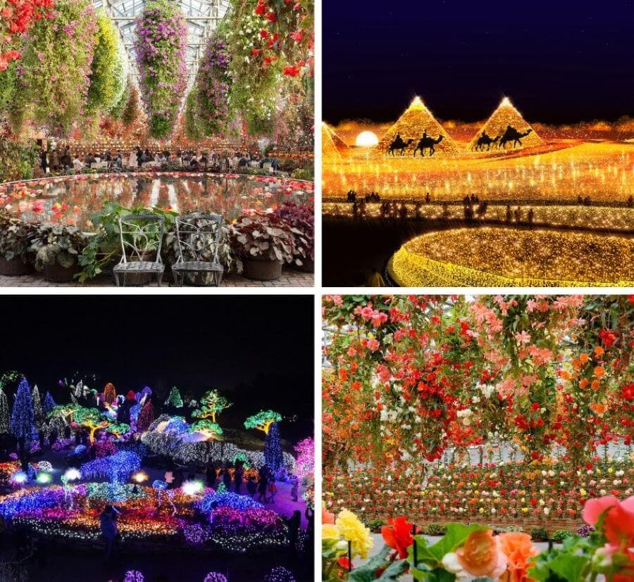 Công viên Nabana no Sato tại Nhật Bản có gì thú vị?