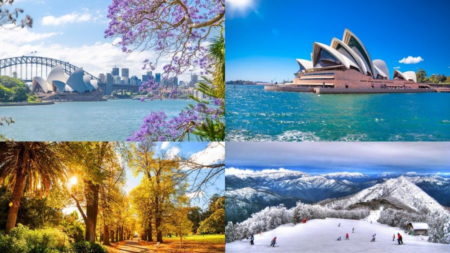 Du lịch úc mùa nào đẹp nhất?