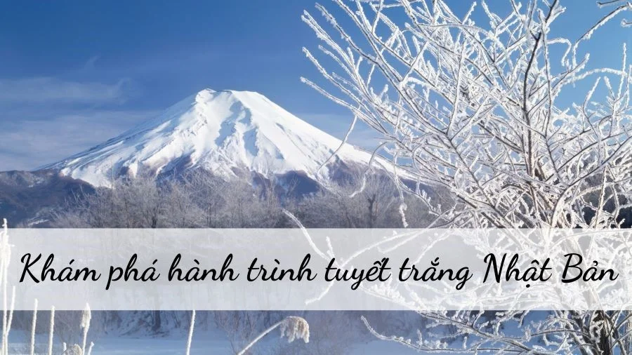 Du lịch Nhật Bản mùa đông - Khám phá hành trình tuyết trắng