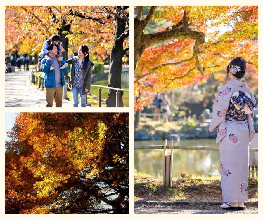 Công Viên UENO Có Gì Thú Vị?