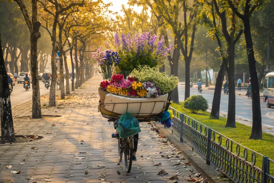 Khám phá đặc sản xe hoa mùa thu Hà Nội đẹp đến nao lòng