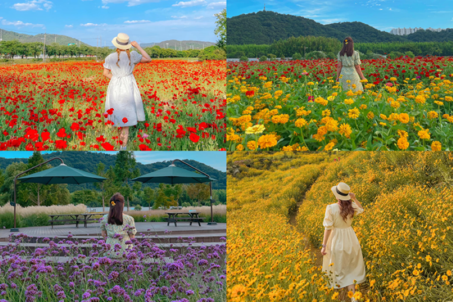 Những điểm đến nổi tiếng khi đi du lịch Hàn Quốc mùa hè