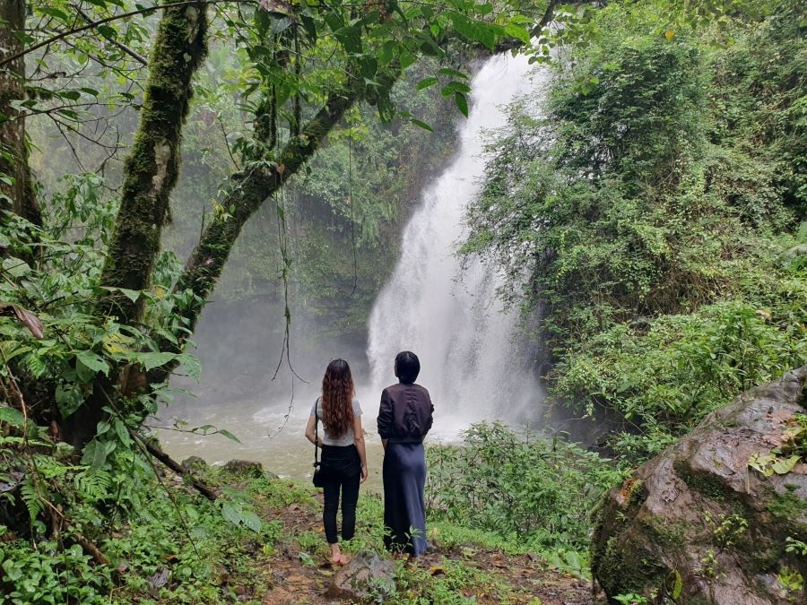 Suối mơ Bảo Lộc - Điểm đến không thể bỏ qua tại Xứ sở sương mù