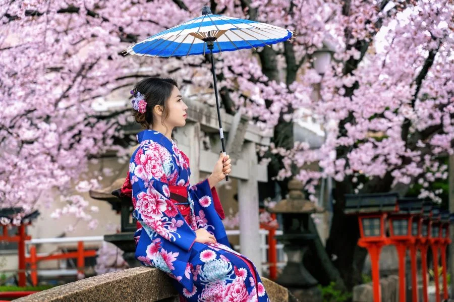 Top 9 sự thật thú vị về hoa anh đào Nhật Bản có thể bạn chưa biết