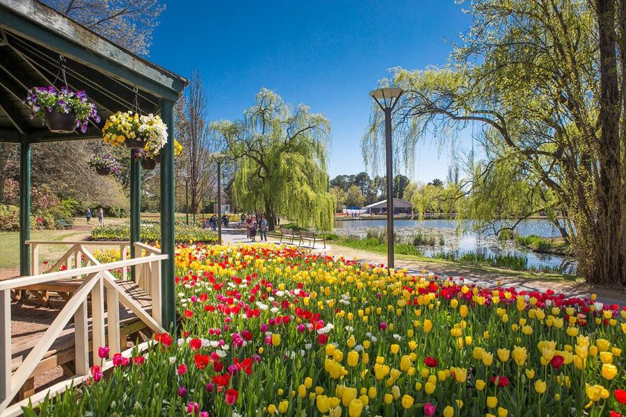 Khám phá những điều thú vị tại Thủ đô Canberra của nước Úc xinh đẹp