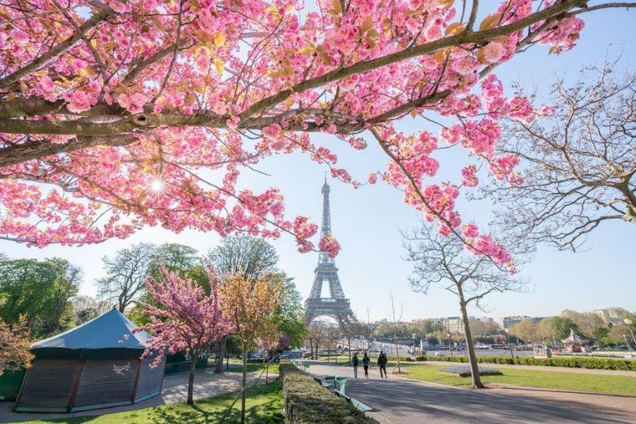 Vì sao nên đến Paris mùa xuân?