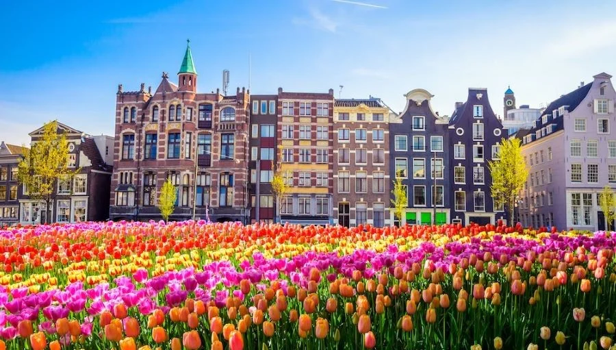 Top 11 địa điểm đẹp nhất Châu Âu vào mùa xuân