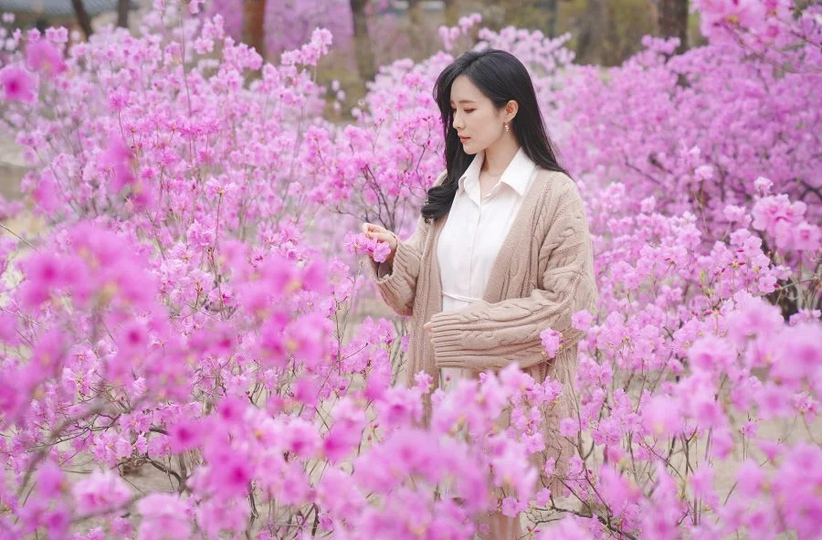 Những mùa hoa nổi tiếng tại Hàn Quốc