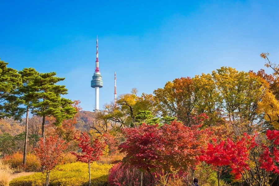 Những trải nghiệm hấp dẫn Tháp Namsan Hàn Quốc