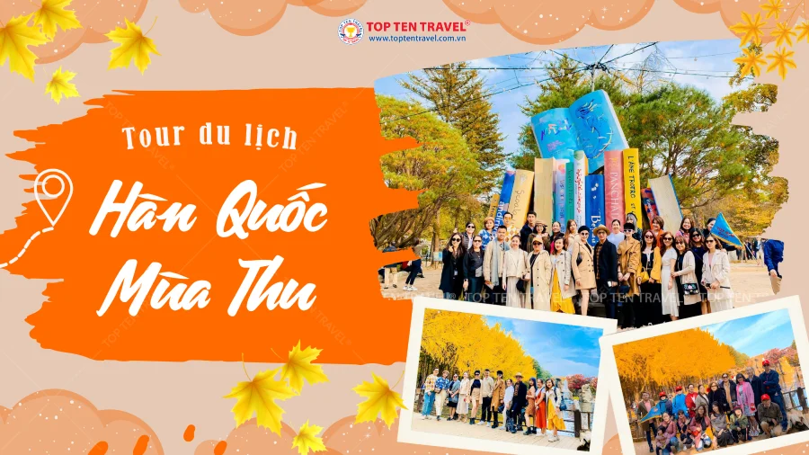Chùm tour Hàn Quốc mùa thu hot nhất thị trường 2026