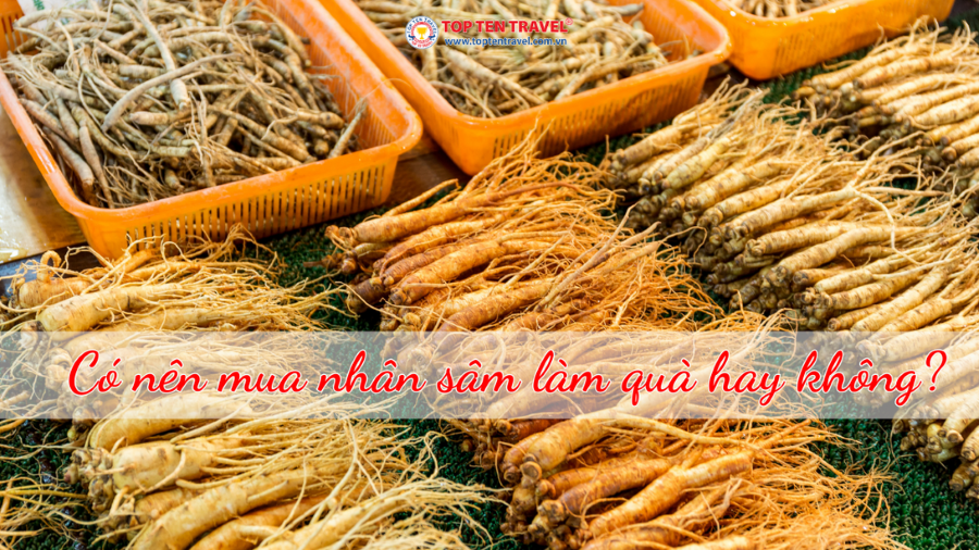 Có nên mua sâm về làm quà khi đi Hàn Quốc hay không?
