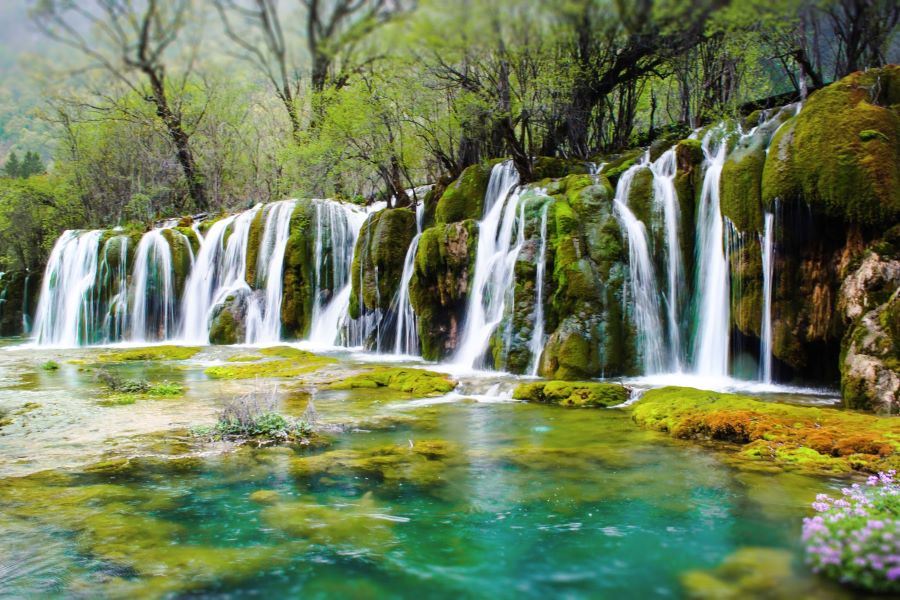 Cửu trại câu của Trung Quốc có gì? (Cập nhật mới nhất 6/2023)