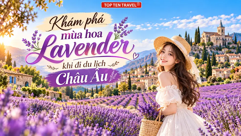 Khám phá mùa hoa Lavender khi đi du lịch Châu Âu