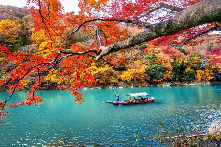 Kinh nghiệm du lịch đảo Jeju Hàn Quốc mùa thu