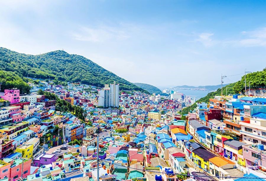 Busan Hàn Quốc có gì đẹp