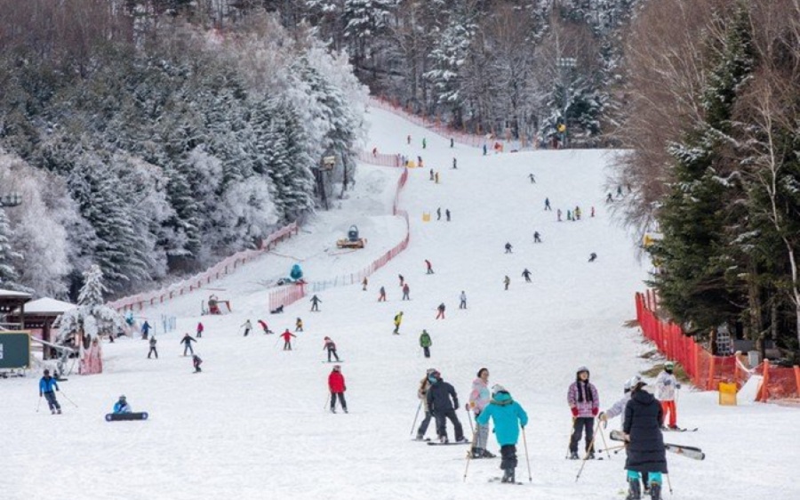 Du lịch Hàn Quốc vào mùa đông và những lý do không thể chối từ