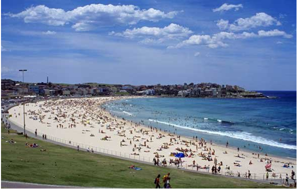 Ngắm cảnh trong vườn quốc gia Dorrigo cùng du lịch Úc