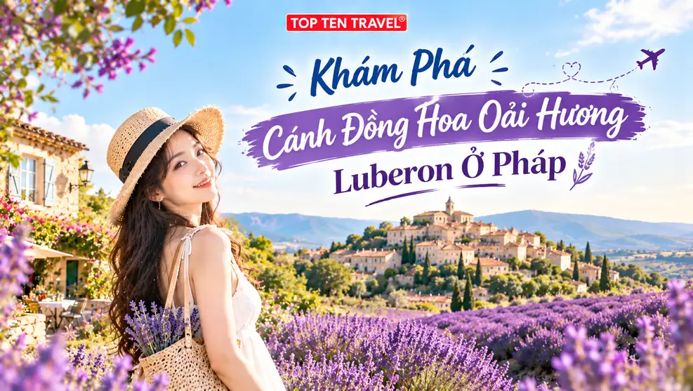 Khám Phá Cánh Đồng Hoa Oải Hương Luberon Ở Pháp